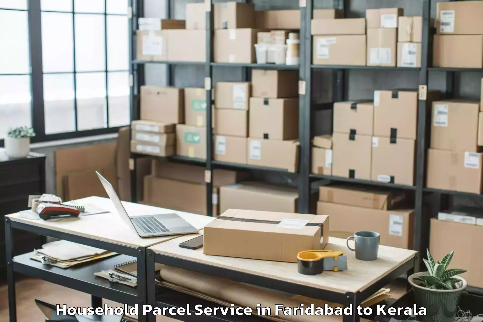 Hassle-Free Faridabad to Alangad Household Parcel